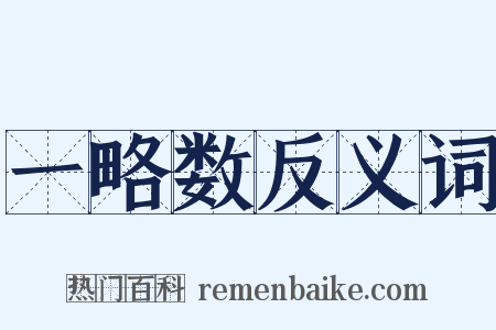 一略数反义词是什么意思的图片